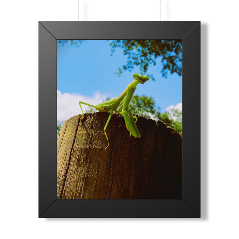 Etsy listing mockup: Green praying mantis on a wooden fence post beneath blue sky in a black frame