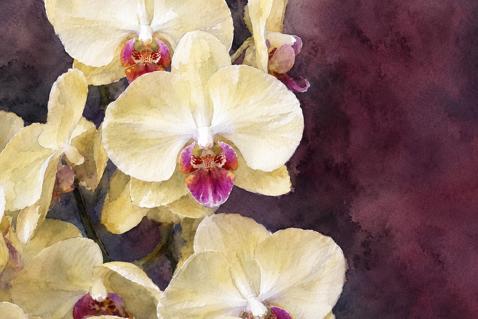 Pale yellow orchids in a painterly style